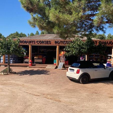 Villa Le Corail Rouge Corse ليسي المظهر الخارجي الصورة