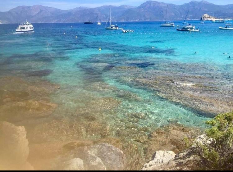 Villa Le Corail Rouge Corse ليسي المظهر الخارجي الصورة