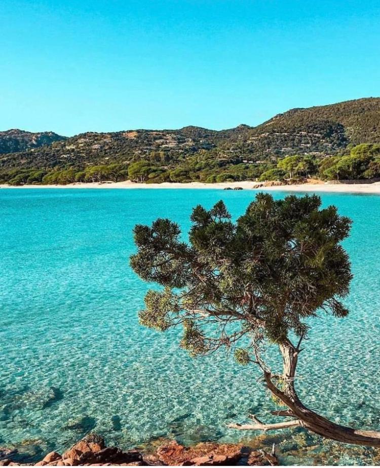 Villa Le Corail Rouge Corse ليسي المظهر الخارجي الصورة