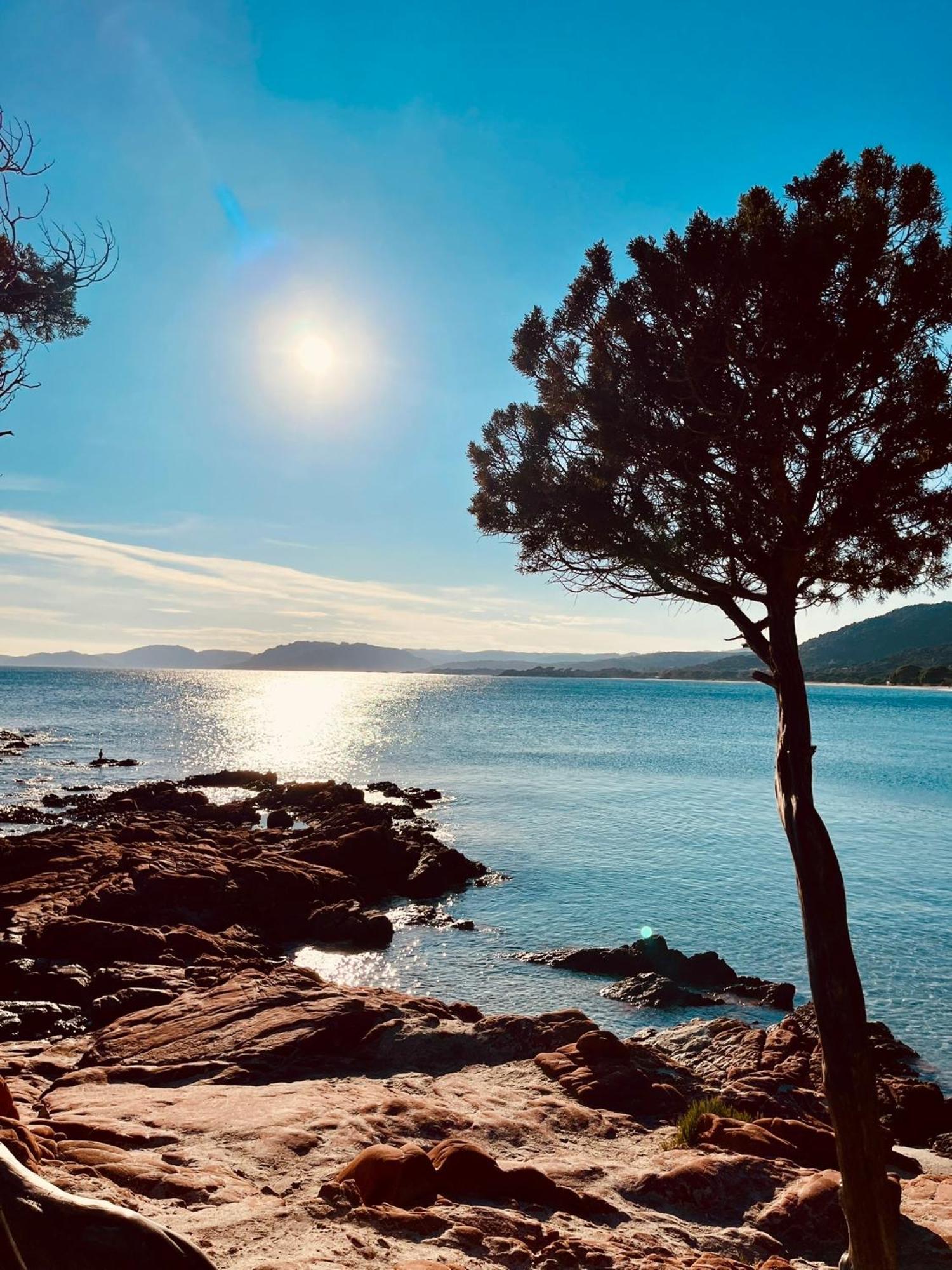 Villa Le Corail Rouge Corse ليسي المظهر الخارجي الصورة