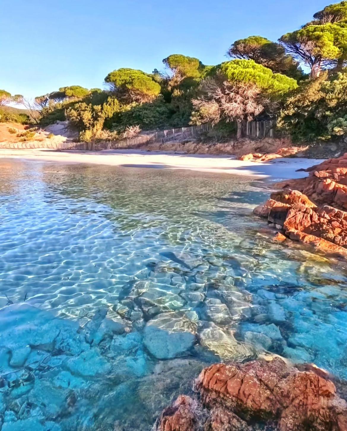 Villa Le Corail Rouge Corse ليسي المظهر الخارجي الصورة