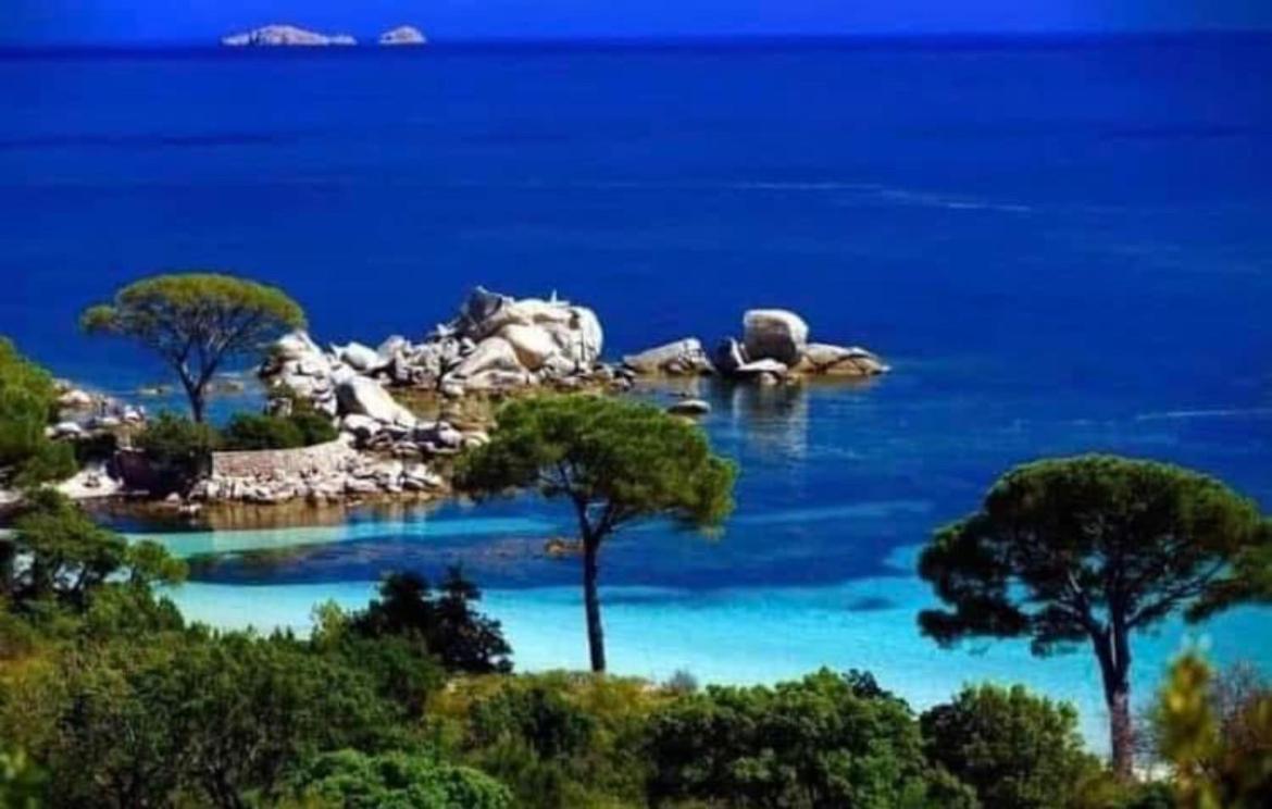 Villa Le Corail Rouge Corse ليسي المظهر الخارجي الصورة
